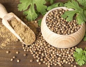 گشنیز بذری سرشار از ویتامین ، فیبر و مواد معدنی...