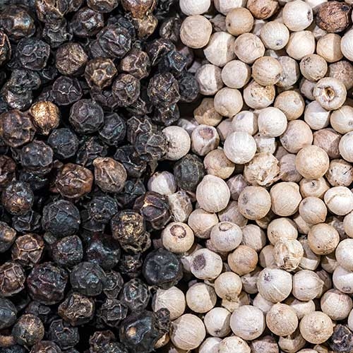 فلفل سياه و فلفل سفيد (Black pepper and white pepper ) از آشپزخانه تا درمان