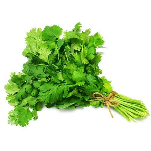 گشنيز (Coriander) گیاه شگفت‌انگیز سم‌زدا برای گوارش سالم و پوست درخشان