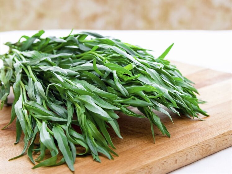 ترخون (Tarragon) سبزترین درمان طبیعی برای آرامش و سلامت گوارش