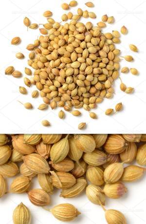 بُرانى اسفناج (سس ماست واسفناج ايرانى)