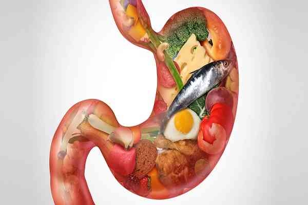 انرژیِ درونِ هر لقمه؛ قدرتی که تو را حرکت می‌دهد