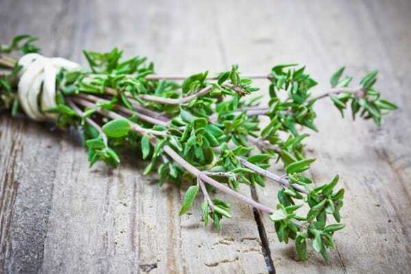 آويشن (Thyme) معجزه‌ای خوش‌عطر برای تنفس سالم، هضم بهتر و ایمنی قوی